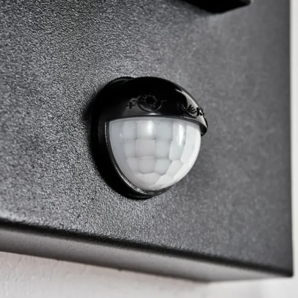 hofstein Cadafaes Lampe murale d´extérieur Noir, 1 lumière, Détecteur de mouvement* Lampes Modernes