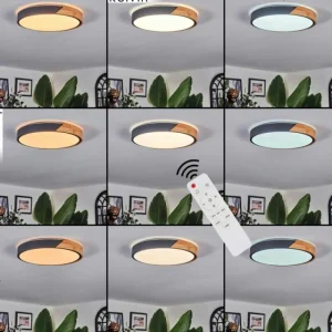 hofstein Cadaixo Plafonnier, Panel LED Blanc, 1 lumière, Télécommandes* Lampes Modernes