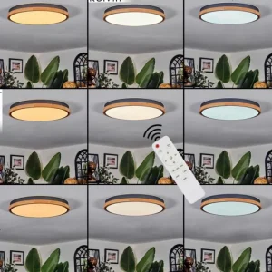 hofstein Cadaixo Plafonnier, Panel LED Blanc, 1 lumière, Télécommandes* Lampes Modernes