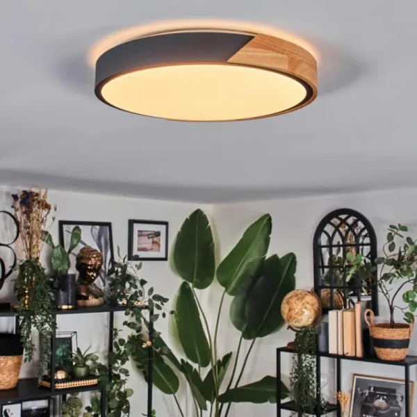 hofstein Cadaixo Plafonnier, Panel LED Blanc, 1 lumière, Télécommandes* Lampes Modernes