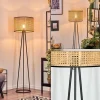 hofstein Cando Lampadaire, Liseuse Noir, 1 lumière* Lampes Modernes