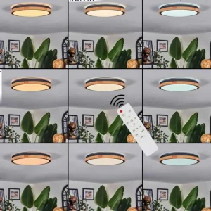 hofstein Coentral Plafonnier, Panel LED Blanc, 1 lumière, Télécommandes* Lampes Modernes