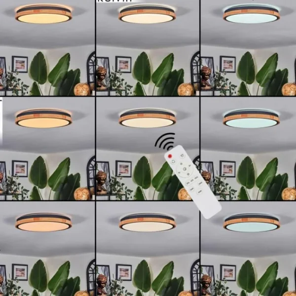 hofstein Coentral Plafonnier, Panel LED Blanc, 1 lumière, Télécommandes* Lampes Modernes