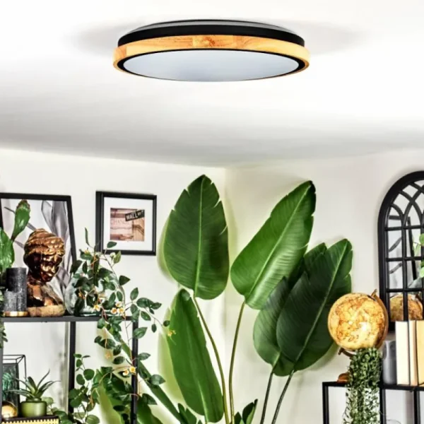 hofstein Coentral Plafonnier, Panel LED Blanc, 1 lumière, Télécommandes* Lampes Modernes