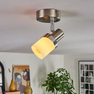 hofstein Davor Plafonnier, Spot de plafond Chrome, Nickel mat, 1 lumière* Lampes En Verre
