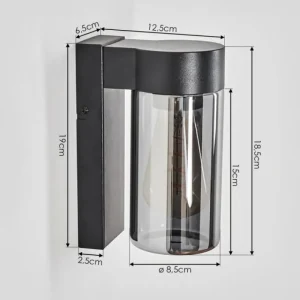 hofstein Encoberta Lampe murale d´extérieur Noir, 1 lumière* Lampes Modernes