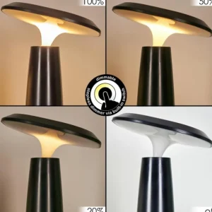 hofstein Eston Lampe de bureau, Lampe à poser LED Noir, Blanc, 1 lumière* Lampes Modernes