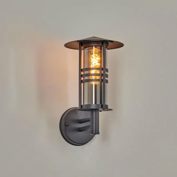 hofstein Forli Lampe murale d´extérieur Anthracite, 1 lumière* Lampes Modernes