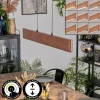hofstein Fugelsta Suspension, Suspension LED Noir, 1 lumière* Lampes Modernes