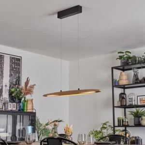 hofstein Fugelsta Suspension, Suspension LED Noir, 1 lumière* Lampes Modernes