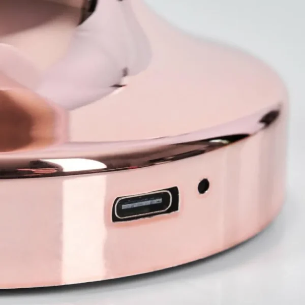 hofstein Gallboda Lampe à poser LED Cuivre, 1 lumière* Lampes Modernes