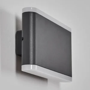 hofstein Gamas Lampe murale d´extérieur, Applique murale Anthracite, 1 lumière* Lampes Modernes