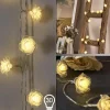 hofstein Guirlande Sondrio LED, 30 lumières* Lampes Modernes
