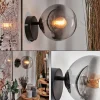 hofstein Koyoto Boule lumineuse, Applique murale, Spot mural Clair, Fumé, 1 lumière* Lampes Modernes