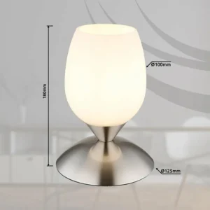 Luminaires Globo Lighting Kuwaita Lampe à poser Nickel mat, 1 lumière* Lampes En Verre