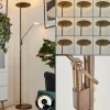 hofstein Lampadaire à vasque Murca LED Vieux laiton, 2 lumières* Lampes Modernes