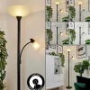 hofstein Lampadaire à vasque Phong LED Noir, 2 lumières* Lampes Modernes