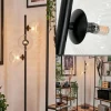 hofstein Lampadaire - Verre 15 cm Remaisnil Clair, 3 lumières* Lampes Modernes