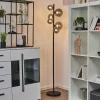hofstein Lampadaire Chehalis LED Noir, 6 lumières* Lampes Modernes