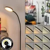 hofstein Lampadaire Haltia LED Noir, 1 lumière* Lampes Modernes