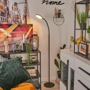 hofstein Lampadaire Haltia LED Noir, 1 lumière* Lampes Modernes