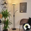 hofstein Lampadaire Mairoa LED Noir, 2 lumières* Lampes Modernes