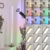 hofstein Lampadaire Minacar LED Nickel mat, 1 lumière, Télécommandes, Changeur de couleurs* Lampes Modernes