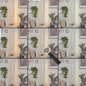hofstein Lampadaire Minacar LED Nickel mat, 1 lumière, Télécommandes, Changeur de couleurs* Lampes Modernes