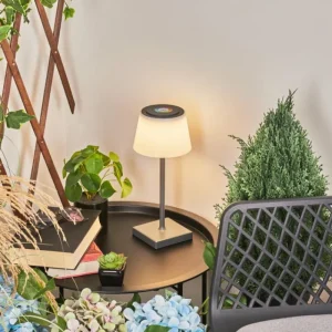 hofstein Lampe à poser Burzaco LED Anthracite, 1 lumière, Changeur de couleurs* Lampes Modernes