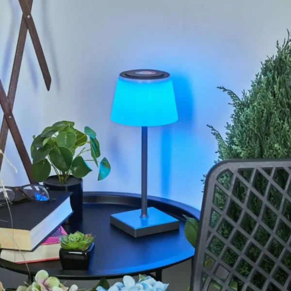 hofstein Lampe à poser Burzaco LED Anthracite, 1 lumière, Changeur de couleurs* Lampes Modernes