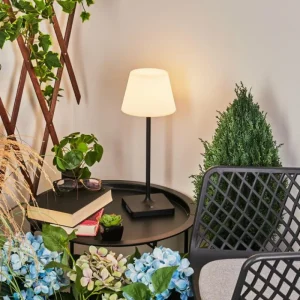 hofstein Lampe à poser Mayordomo LED Noir, 1 lumière* Lampes Modernes