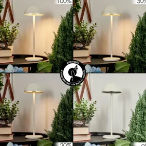 hofstein Lampe à poser Pelaro LED Blanc, 1 lumière* Lampes Modernes