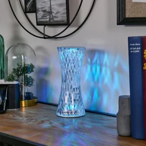 hofstein Lampe Champignon Balsa Lampe à poser LED Transparent, 1 lumière, Changeur de couleurs* Lampes Modernes