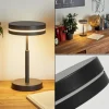 hofstein Lampe de table Huallilemu LED Noir, 1 lumière* Lampes Modernes