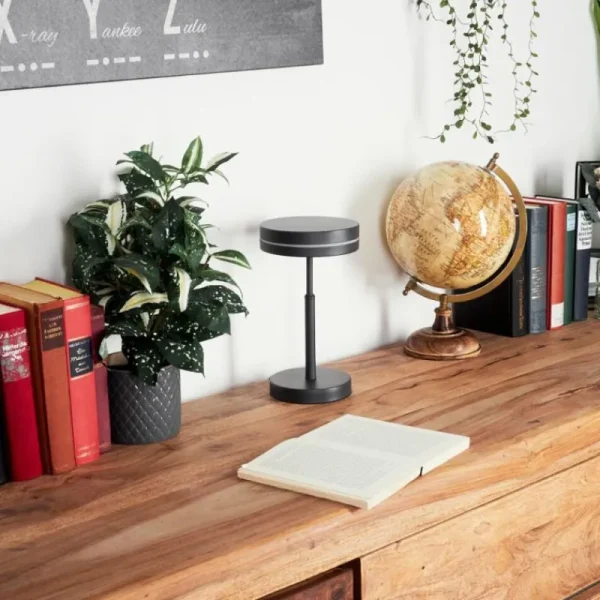 hofstein Lampe de table Huallilemu LED Noir, 1 lumière* Lampes Modernes