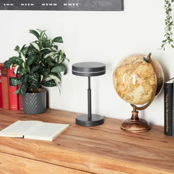 hofstein Lampe de table Huallilemu LED Noir, 1 lumière* Lampes Modernes