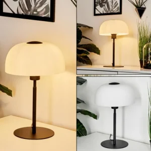 hofstein Lampe de table Werentzhouse Noir, 1 lumière* Lampes En Verre