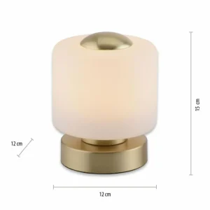 Luminaires Paul Neuhaus Lampe de table Paul Neuhaus BOTA LED Laiton, 1 lumière* Lampes En Verre
