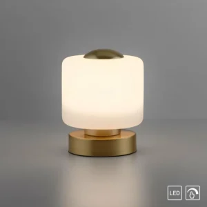Luminaires Paul Neuhaus Lampe de table Paul Neuhaus BOTA LED Laiton, 1 lumière* Lampes En Verre