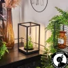 hofstein Lampe de table Ranquile LED Noir, 2 lumières* Lampes Modernes
