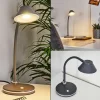 hofstein Lampe de table Shreveport LED Anthracite, Blanc, 1 lumière* Lampes Modernes