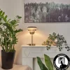 hofstein Lampe de table Wacissa Nickel mat, 1 lumière* Lampes Modernes