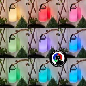 hofstein Lampe solaires Acebal LED Noir, Blanc, 1 lumière, Changeur de couleurs* Lampes Modernes