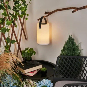 hofstein Lampe solaires Acebal LED Noir, Blanc, 1 lumière, Changeur de couleurs* Lampes Modernes