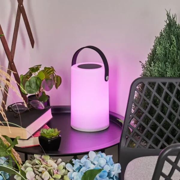 hofstein Lampe solaires Acebal LED Noir, Blanc, 1 lumière, Changeur de couleurs* Lampes Modernes