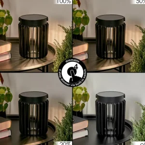 hofstein Lampe solaires Rossina LED Noir, 1 lumière* Lampes Modernes
