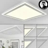 hofstein Plafonnier Audrieu LED Blanc, 2 lumières* Lampes Modernes
