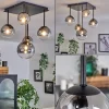 hofstein Plafonnier - Verre 10 cm, 12 cm, 15 cm Chehalis Clair, Fumé, 5 lumières* Lampes Modernes
