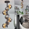 hofstein Plafonnier - Verre 10 cm Chehalis Fumé, 8 lumières* Lampes Modernes