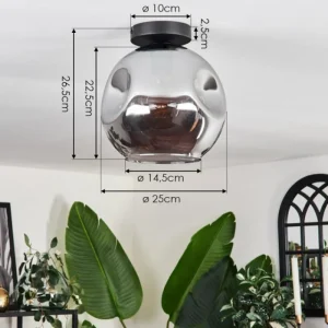 hofstein Plafonnier - Verre 25 cm Ripoll Fumé, 1 lumière* Lampes Modernes